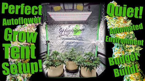 3-5 gallon pot ~ 24-inch plant. . How many autoflowers in a 3x2 tent